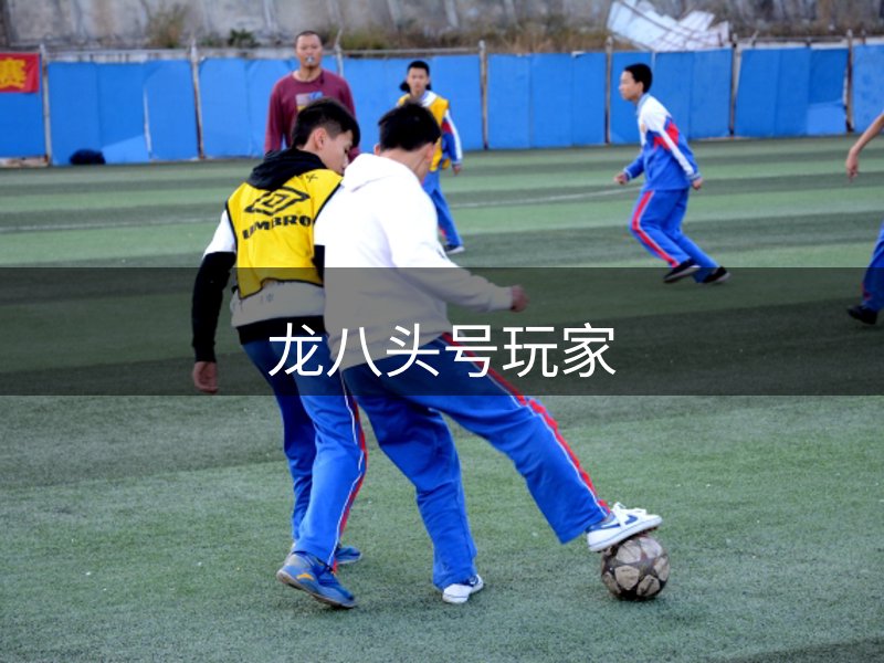 走进龙八头号玩家